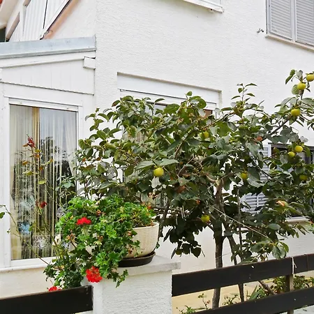 Dalmatian Coast W/ Garden & Sea View, Near - Moments F * 자다르